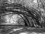 Sehome Hill, Bellingham, Washington