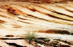 Zion National Park