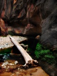 Zion Narrows River, Zion National Park