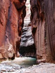 Zion Narrows River, Zion National Park