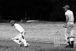 Cricket players