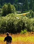 Remote control glider