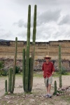 Mitla temple