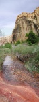 Hiking along the stream that leads towards Calf Creek Falls.