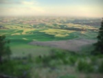 palouse
